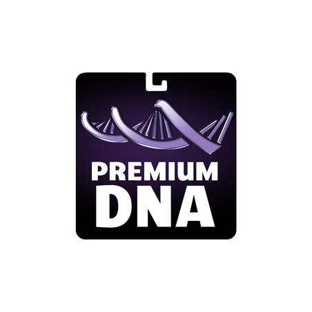 Premium DNA Toys