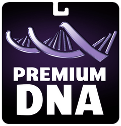 Premium DNA Toys